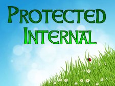 protected-internal
