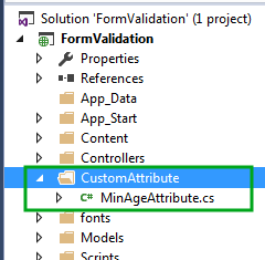 Custom Attribute