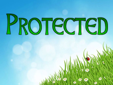 protected-specifiers