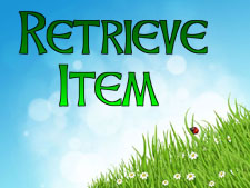 retrieve-items