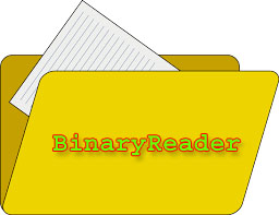 BinaryReader