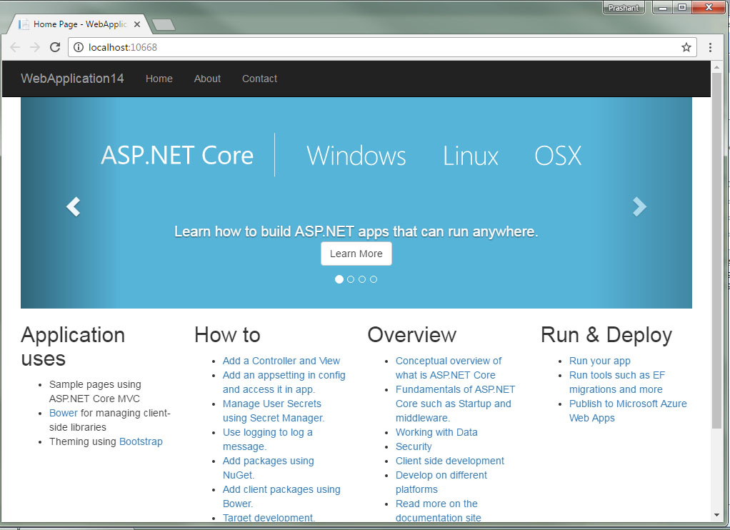 output aspnet core