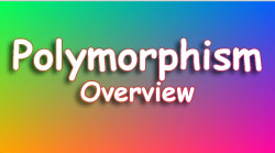 polymorphism-overview